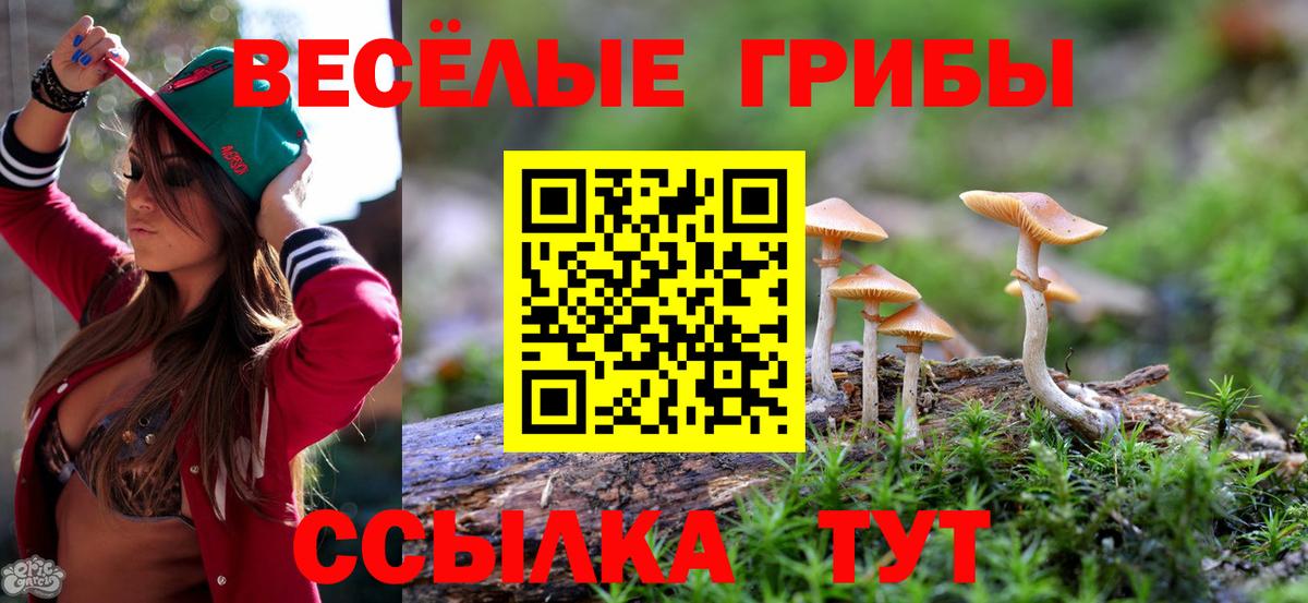 Псилоцибиновые грибы Psilocybe Красноярск